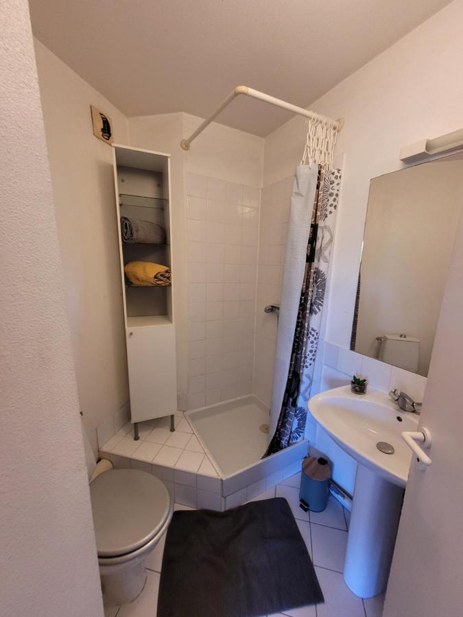 Charmant Studio Vue Sur Les Berges Du Lez Apartment Монпелие Екстериор снимка